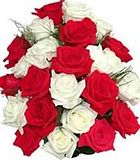 Red-White-Roses.jpg image by DebraTom